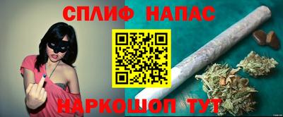 крисы Новокубанск