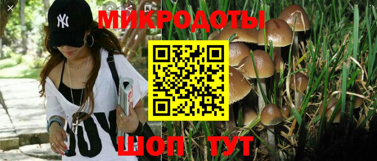Галлюциногенные грибы мухоморы Петропавловск-Камчатский